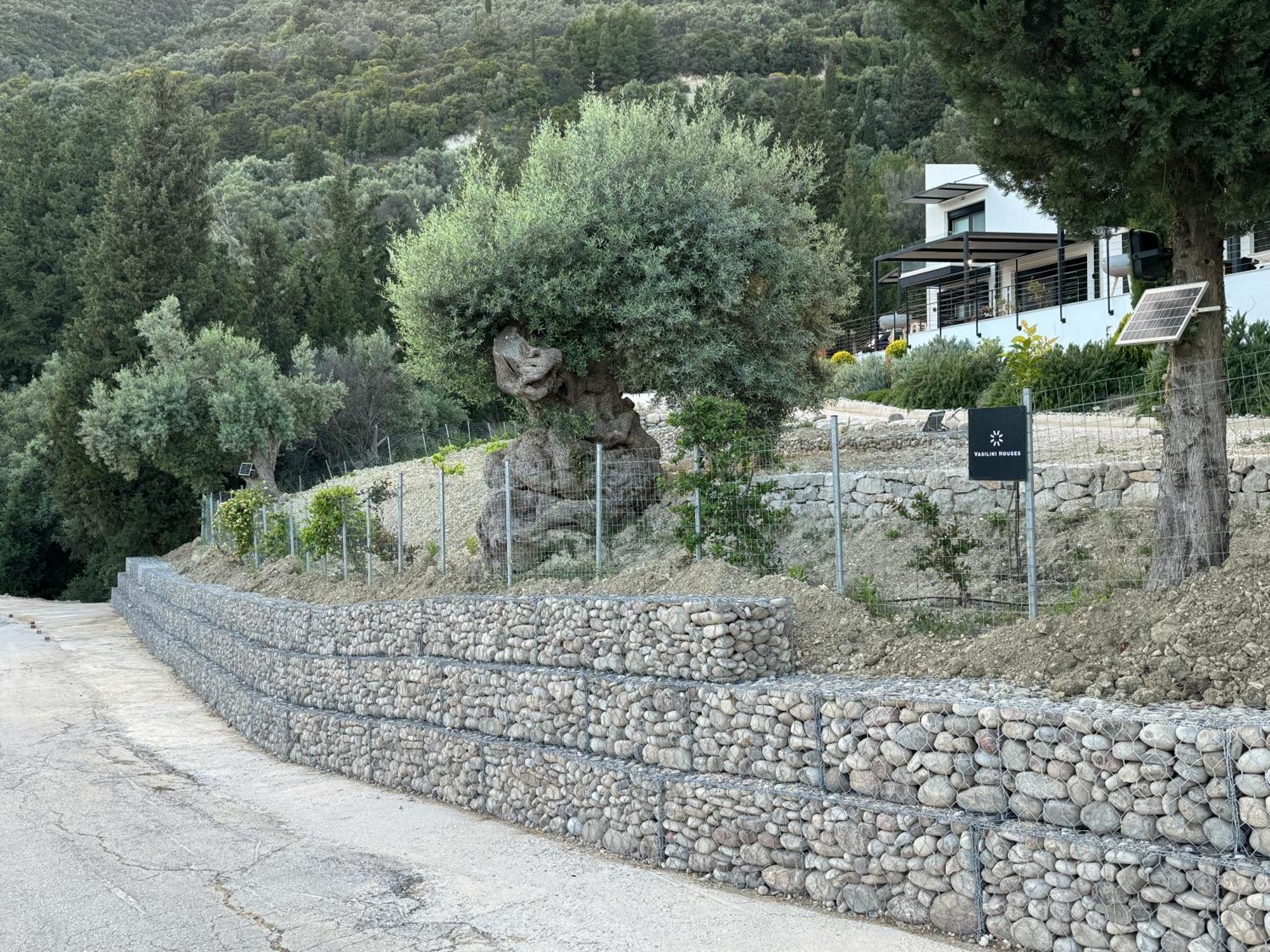 Vasiliki Houses Екстер'єр фото